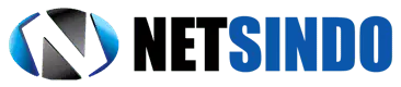 Netsindo Logo